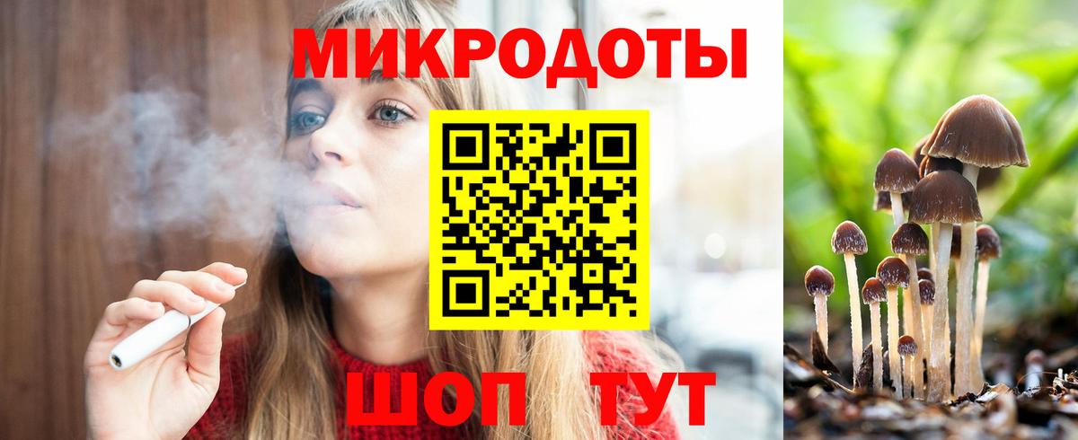 Галлюциногенные грибы Psilocybe Архангельск