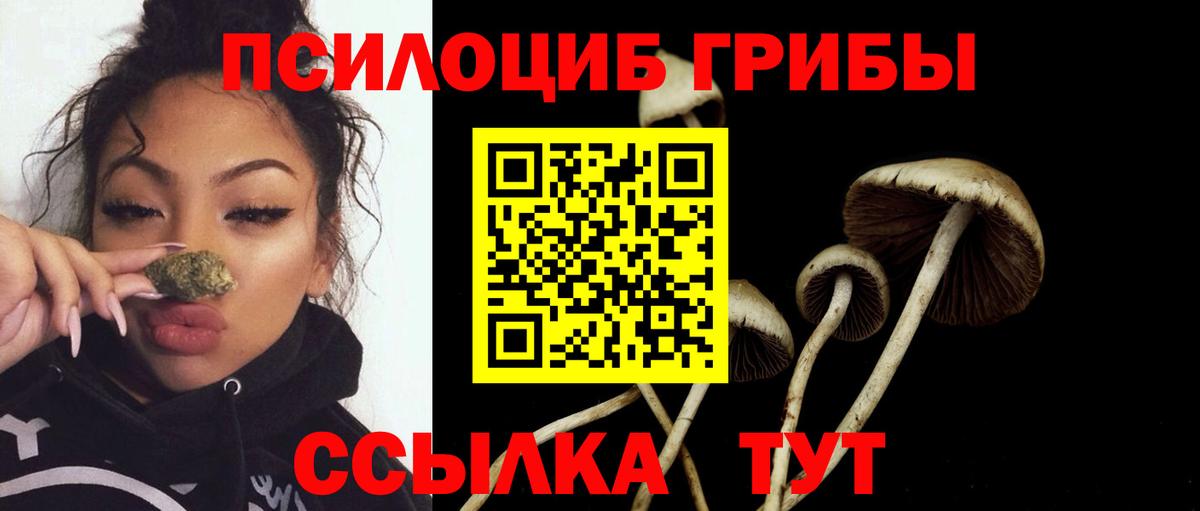 Архангельск  Псилоцибиновые грибы прущие грибы  Галлюциногенные грибы мицелий  Вход с VPN 